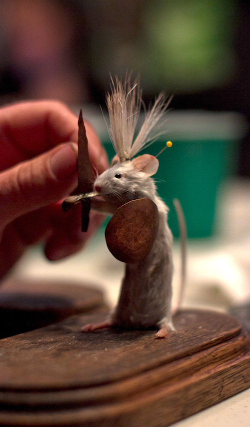 anthropomorphic mouse taxidermy divya acme observatory